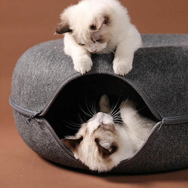 Cat Tunnel