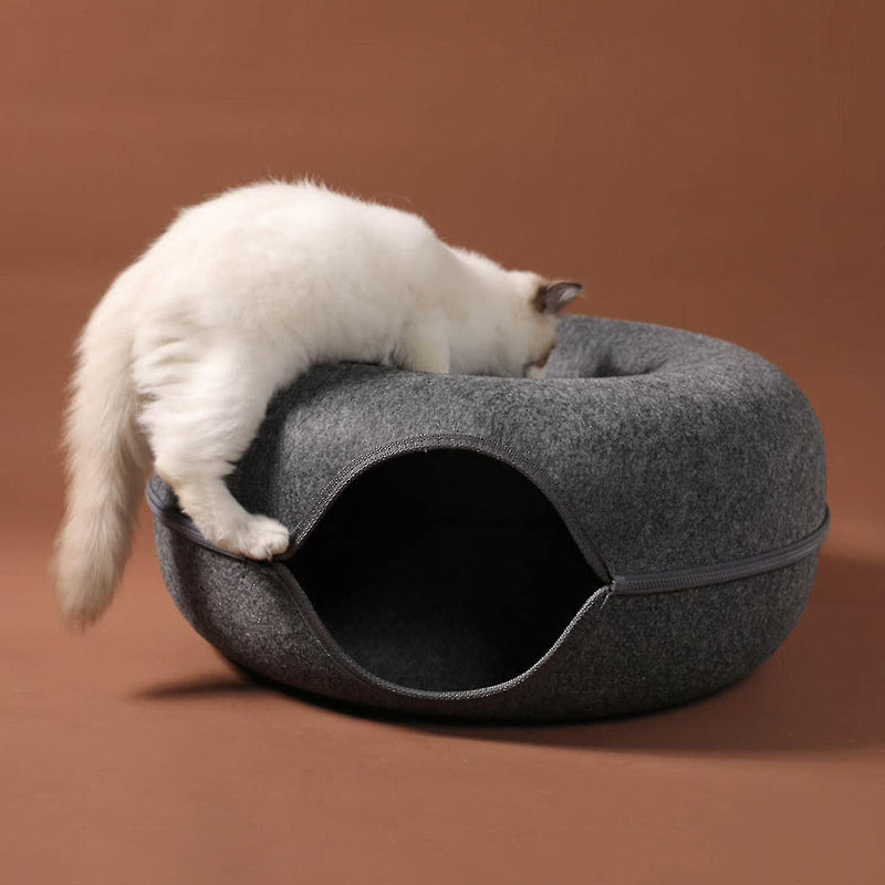 Cat Tunnel