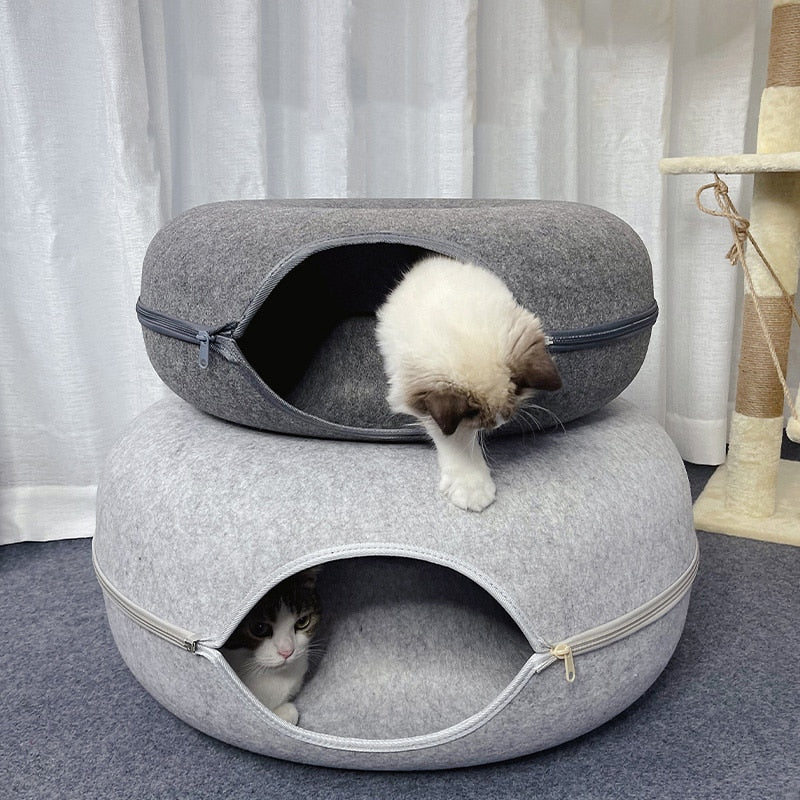 Cat Tunnel