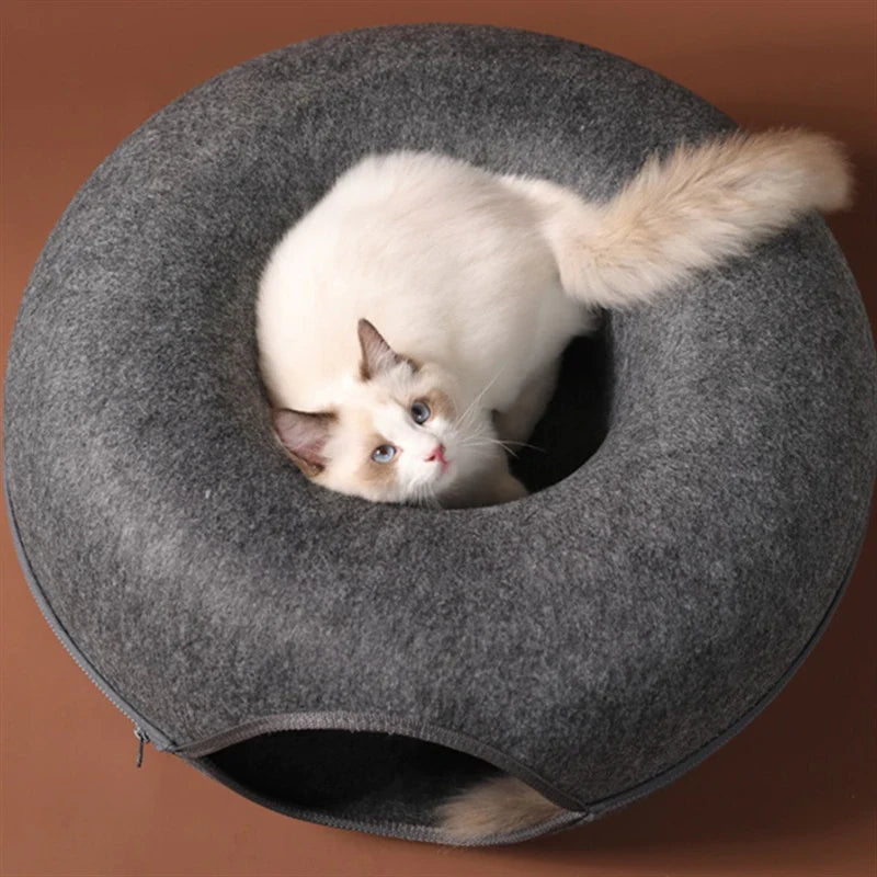 Cat Tunnel