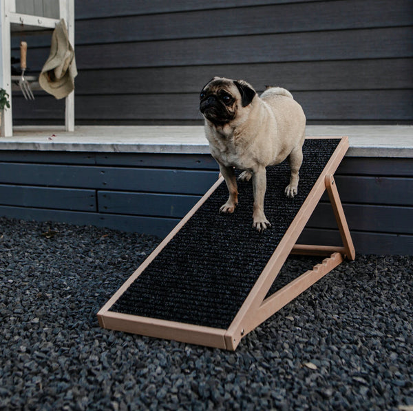 Pet Ramp